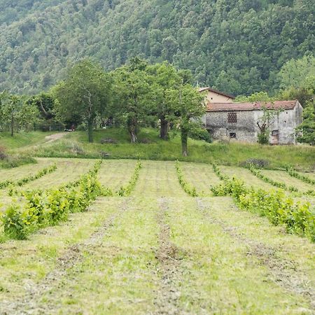 Podere Groppini Fivizzano Bagian luar foto