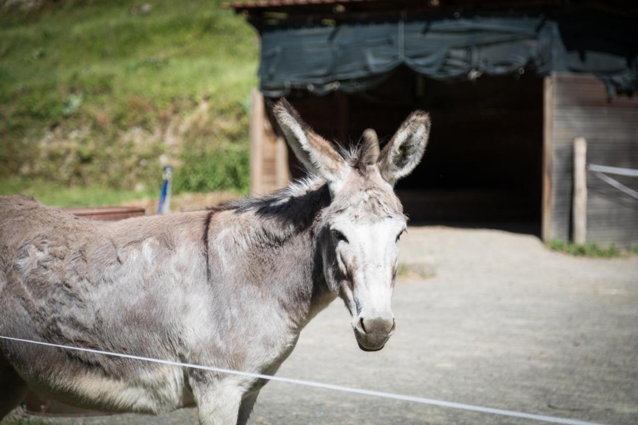 Podere Groppini Fivizzano Bagian luar foto