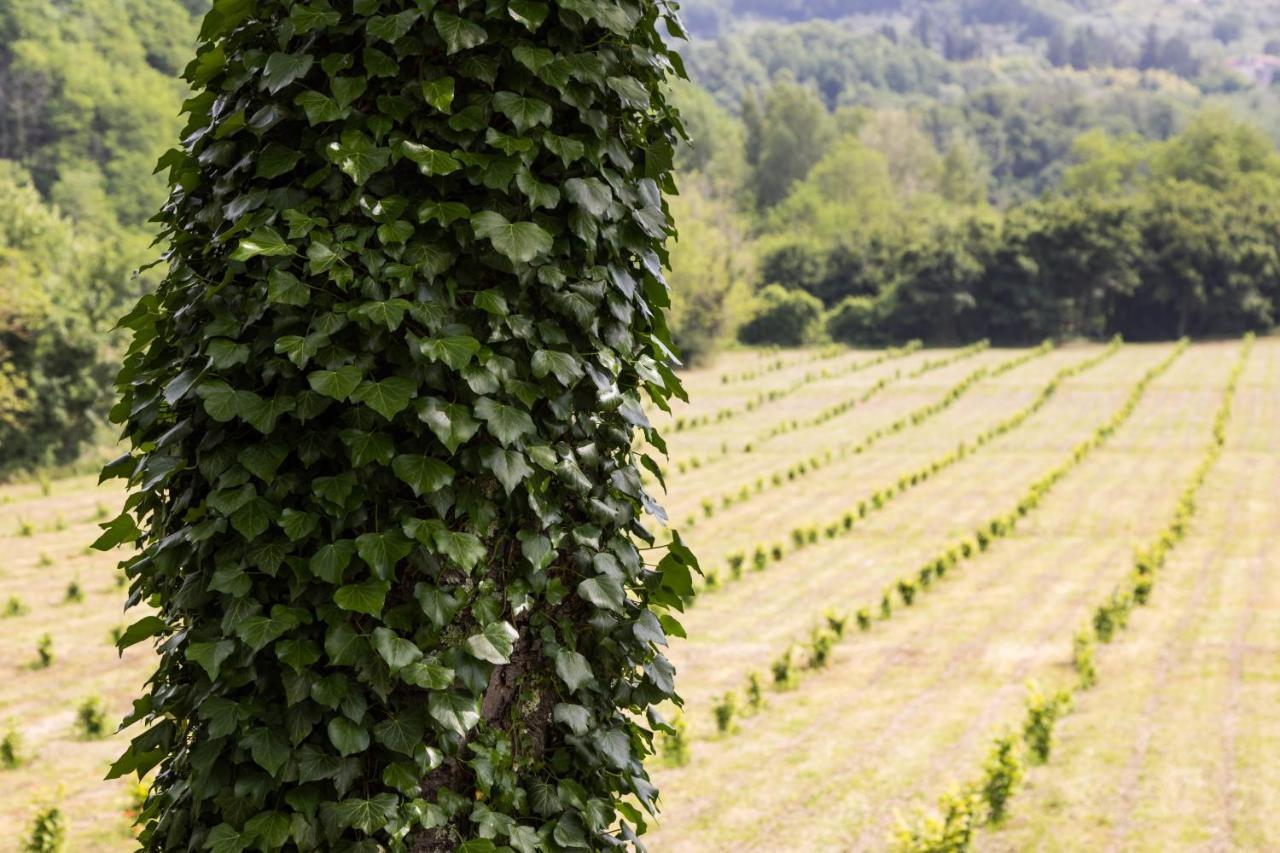 Podere Groppini Fivizzano Bagian luar foto