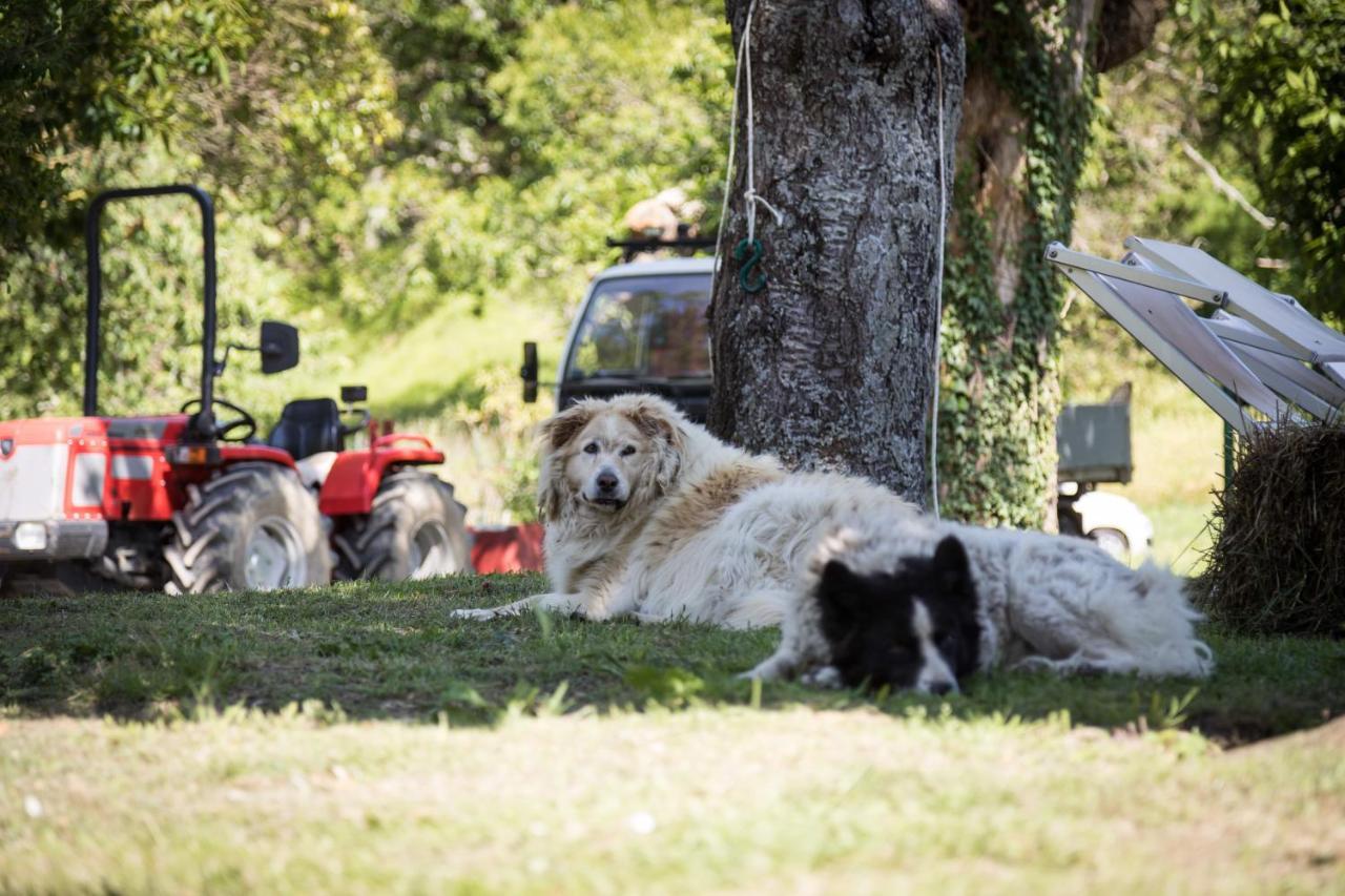 Podere Groppini Fivizzano Bagian luar foto