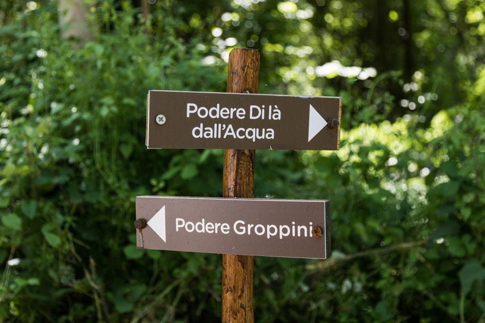 Podere Groppini Fivizzano Bagian luar foto