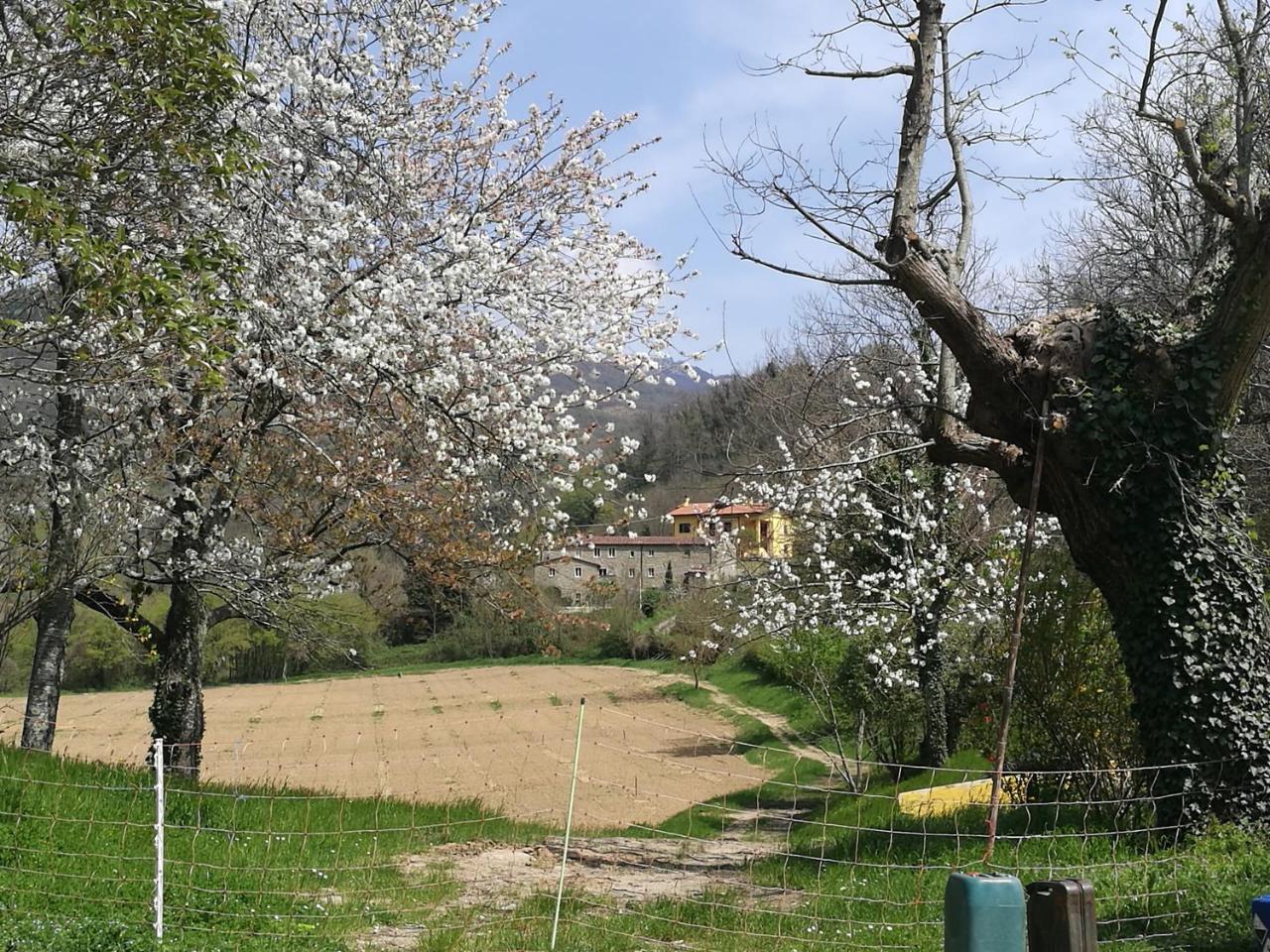 Podere Groppini Fivizzano Bagian luar foto