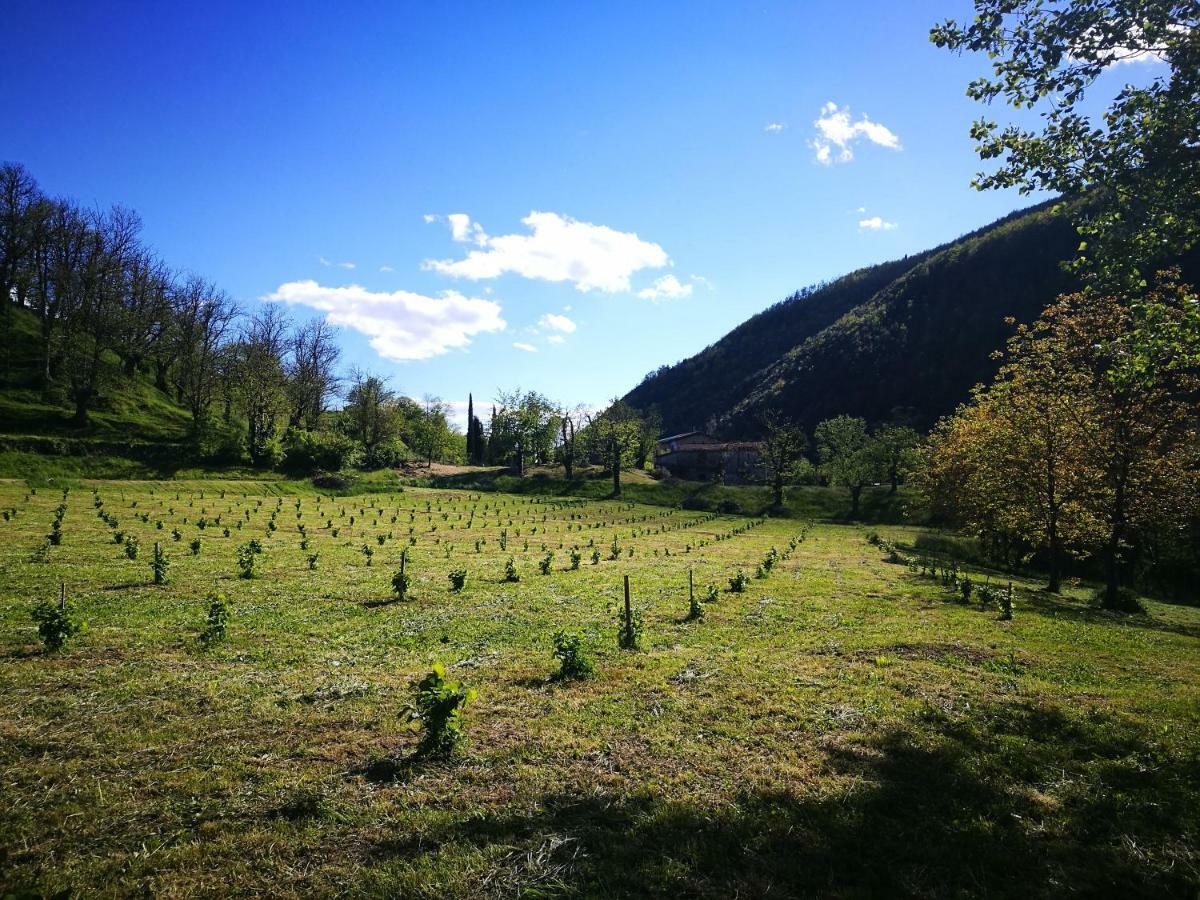Podere Groppini Fivizzano Bagian luar foto