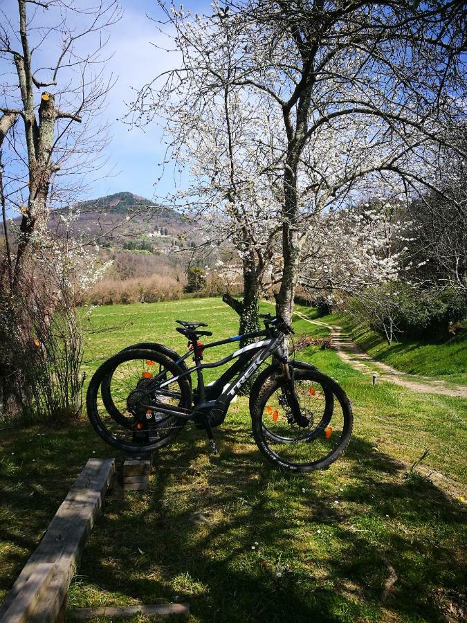 Podere Groppini Fivizzano Bagian luar foto
